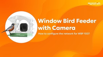 How to configure the network for WBF-100