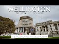 WELLINGTON: ROAD TRIP FINAL VLOG /// NEW ZEALAND TRAVEL VLOG