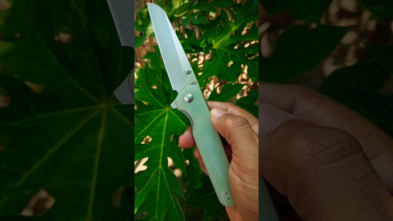 Kizer LP 154cm / not you