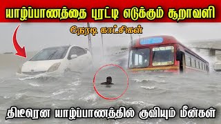 🔴சற்றுமுன் ! திடீரென யாழ்ப்பாணத்தில் குவியும் மீன்கள் | காரணம் என்ன | sri lankan trending  | Jaffna