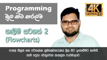 How to create Flowcharts (in Sinhala)