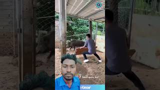 pigg ko jal me fasa diya #reaction #shortsfeed #shorts #viralshorts