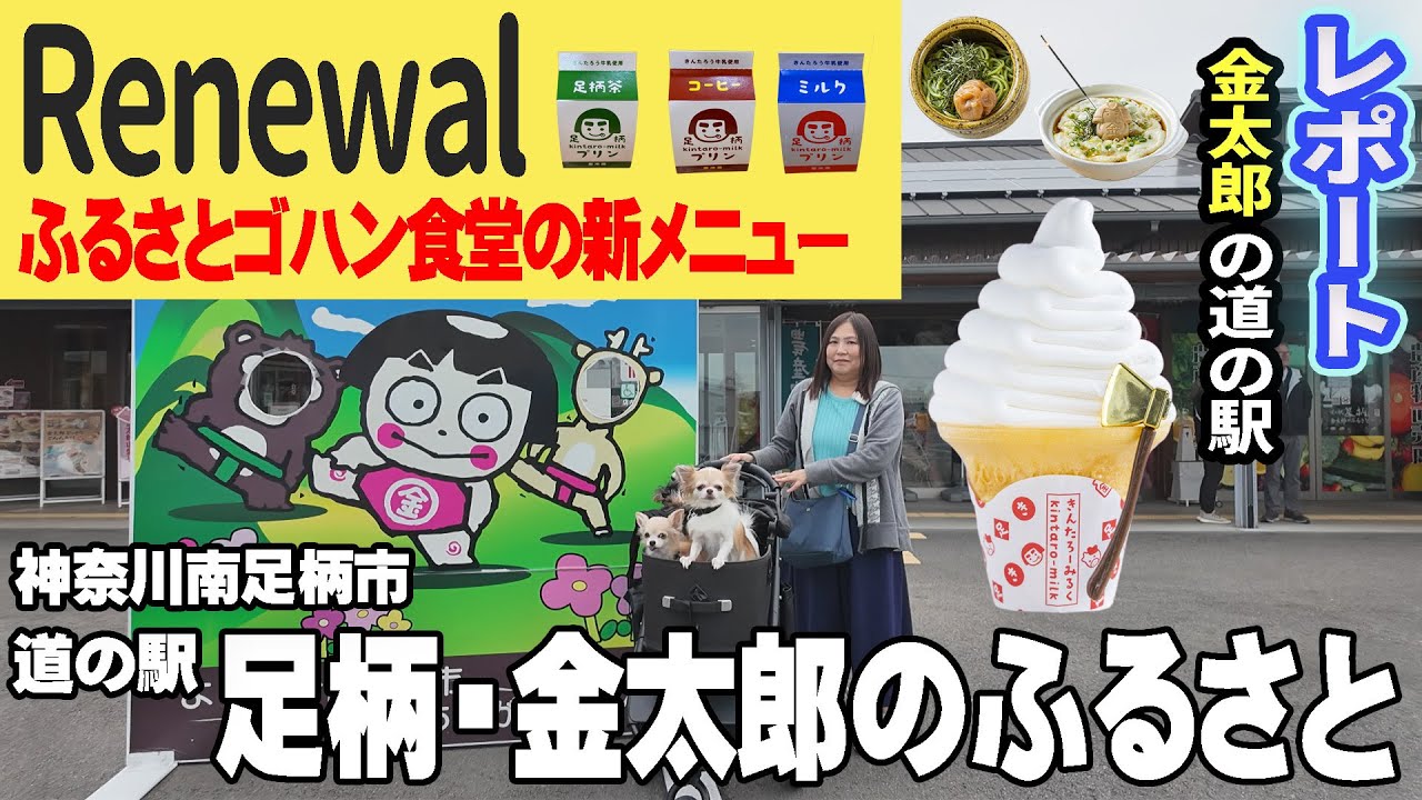 【道の駅リニューアル】神奈川南足柄市の道の駅「道の駅足柄・金太郎のふるさと」がリニューアル！ふるさとゴハン食堂の新メニュー＆ミルクソフト、美味しさがとまらない！