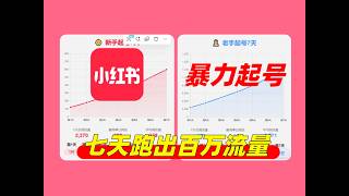 小红书7天暴力起号，如何起S级账号！