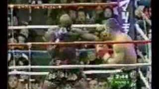 Ernesto Hoost Vs Mirko Crocop Filipovic