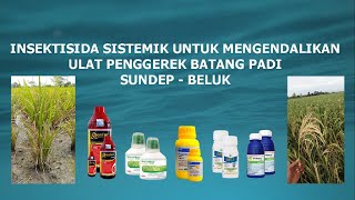 insektisida sistemik untuk mengendalikan ulat penggerek batang padi