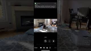 Ios 13 And Iphone 11 New Video Editing Features
