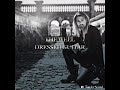Well Dressed Guitar - Rock Revolution