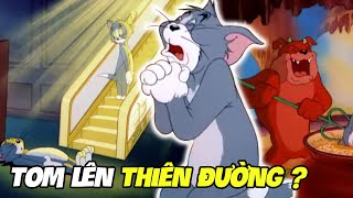 Chuyện Gì Sẽ Xảy Ra Nếu Tom Lên Thiên Đường | Tom \& Jerry