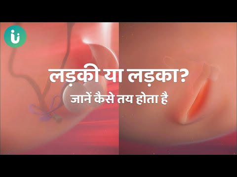 वीडियो: क्या नंगे पांव स्प्रिटर्स ग्लूटेन मुक्त होते हैं?