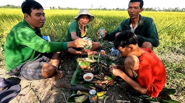 Săn Bắt Cá Sinh Tồn Giữa Đồng, Cá Lóc Nướng Trui Bờ Đê Dân Dã Miền Tây/Catch The Fish/NGÃ NĂM TV