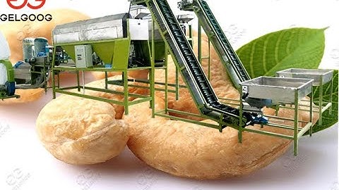 Advanced Cashew Shelling Processing Machine Line@gelgoog.com