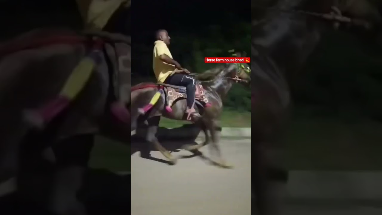 night horse raidings videos....