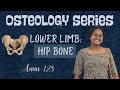 Hip Bone Osteology Explained | First MBBS Anatomy | CRACK THE BONE