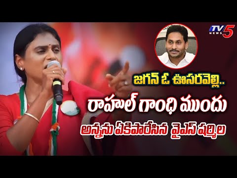 జగన్‌ ఓ ఊసరవెల్లి.. | YS Sharmila Reddy SHOCKING COMMENTS On YS Jagan Mohan Reddy | TV5 News - TV5NEWS