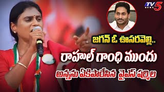 జగన్‌ ఓ ఊసరవెల్లి.. | YS Sharmila Reddy SHOCKING COMMENTS On YS Jagan Mohan Reddy | TV5 News