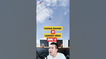 Layangan gapangan besar vs layangan aduan kecil #shorts #reactionvideo #fypvideo #eldanboy