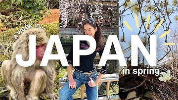 JAPAN TRAVEL VLOG 🌷 everything i bought, ate & visited in kyoto!