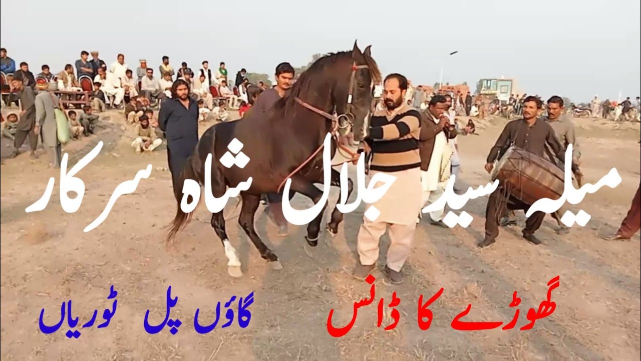 میلہ سید جلال شاہ سرکار گھوڑوں کا ڈھول پر ڈانس  میلے کی لاسٹ ویڈیو گاؤں پل   ٹوریاں 