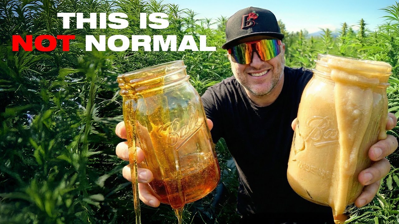 Inside a 100-Year Old Farm That Turns Everything into Rosin