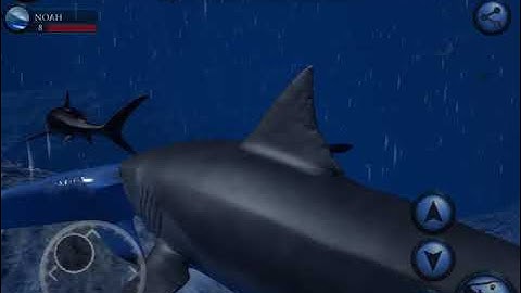 Shark simulator gameplay #1