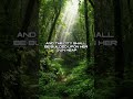 Jeremiah 30 #daily #meditation #scripture #bible #faith #restoration