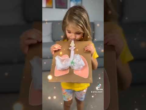 وسيلة بسيطة لعمل الرئتين شارما قناتي