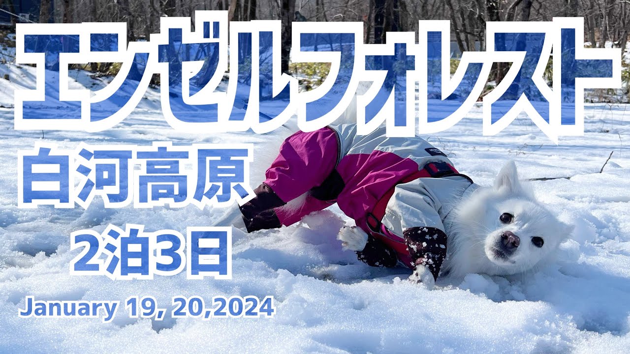 【コマの旅行】エンゼルフォレスト2泊3日の2〜3日目　ゆったり湖周遊散歩　コテージでのんびり過ごします