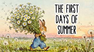 The First Days of Summer 🌼| Cozy Storybook Folk Music in The Quiet Village