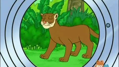 Click Diego Save the Baby Humpback whale