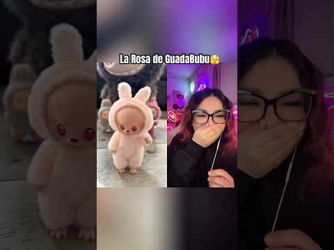 Nuuuuu Los Chafufu En La Rosa