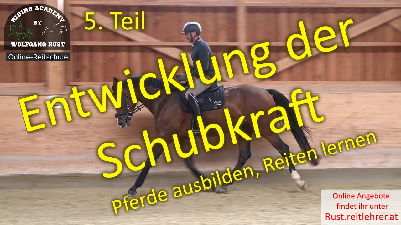 F121 Pferde ausbilden: Entwicklung der Schubkraft der Pferde beim Reiten. Richtig reiten lernen