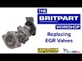 Replacing the EGR valves in a Discovery 3, Discovery 4 and Range Rover Sport