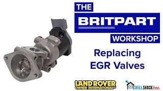 Replacing the EGR valves in a Discovery 3, Discovery 4 and Range Rover Sport