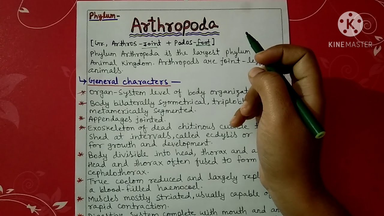 Arthropods Examples In Hindi