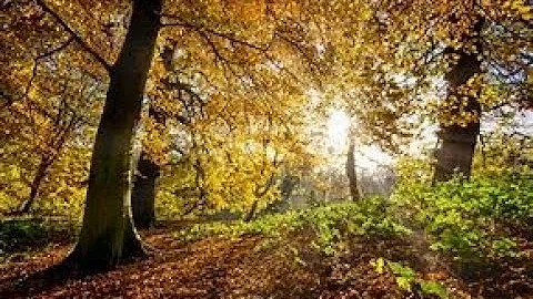 Louise Hay   Morning Meditation