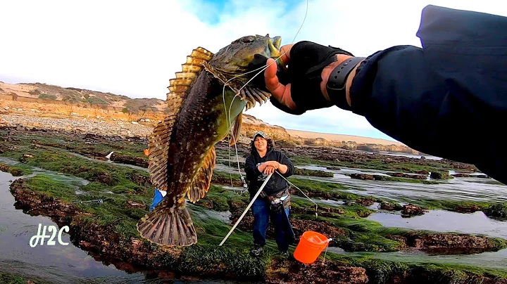Poke Poling and Pocket Fishing Historical Land  Mo...