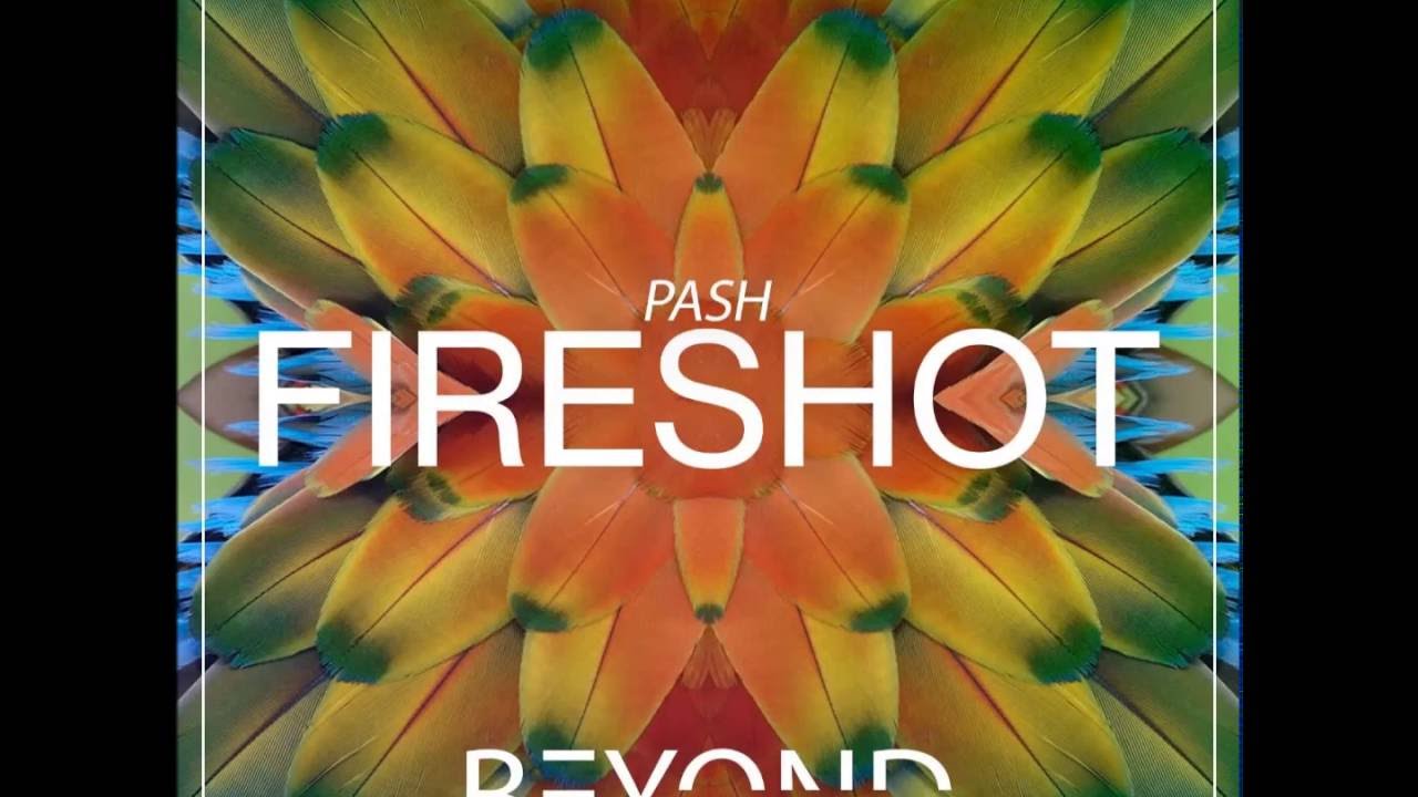 download fireshot