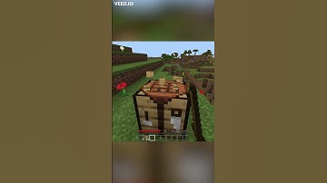 Minecraft Stereotypes: The Noob