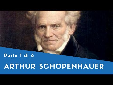 Video: Schopenhauer Arthur: Biografia, Carriera, Vita Personale