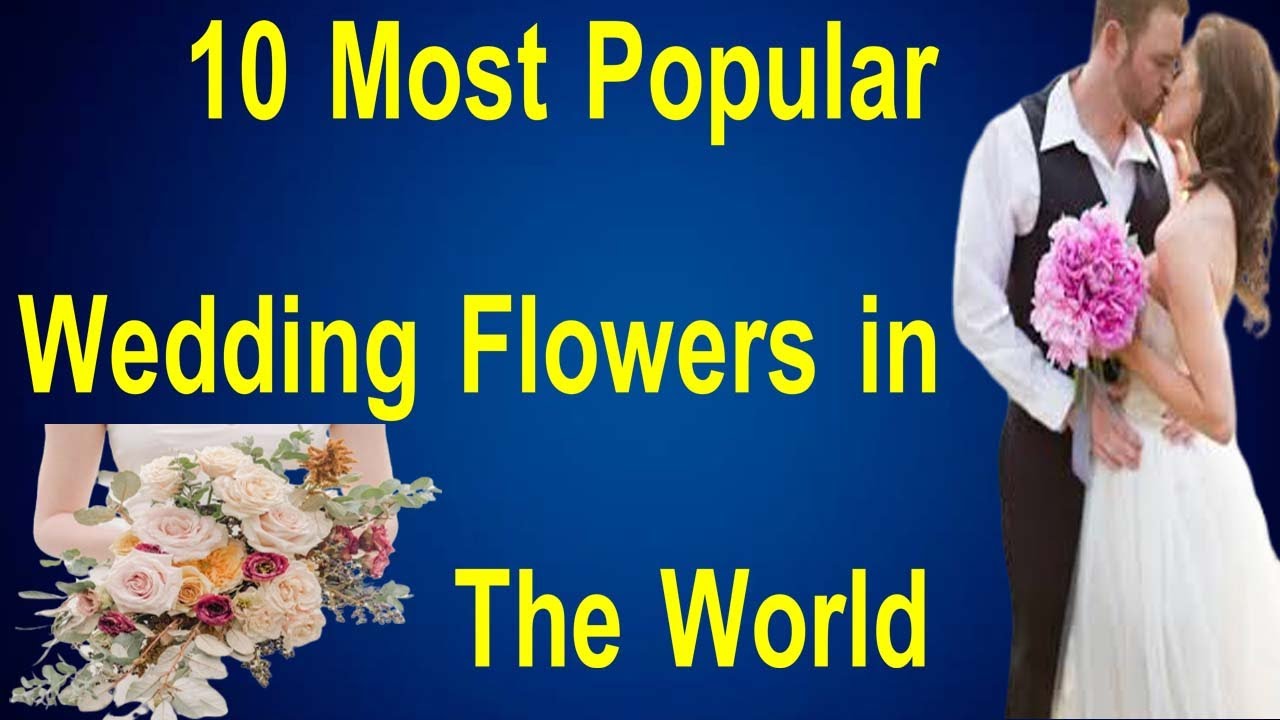 10 Most Popular Wedding Flowers in The World Best data for you YouTube