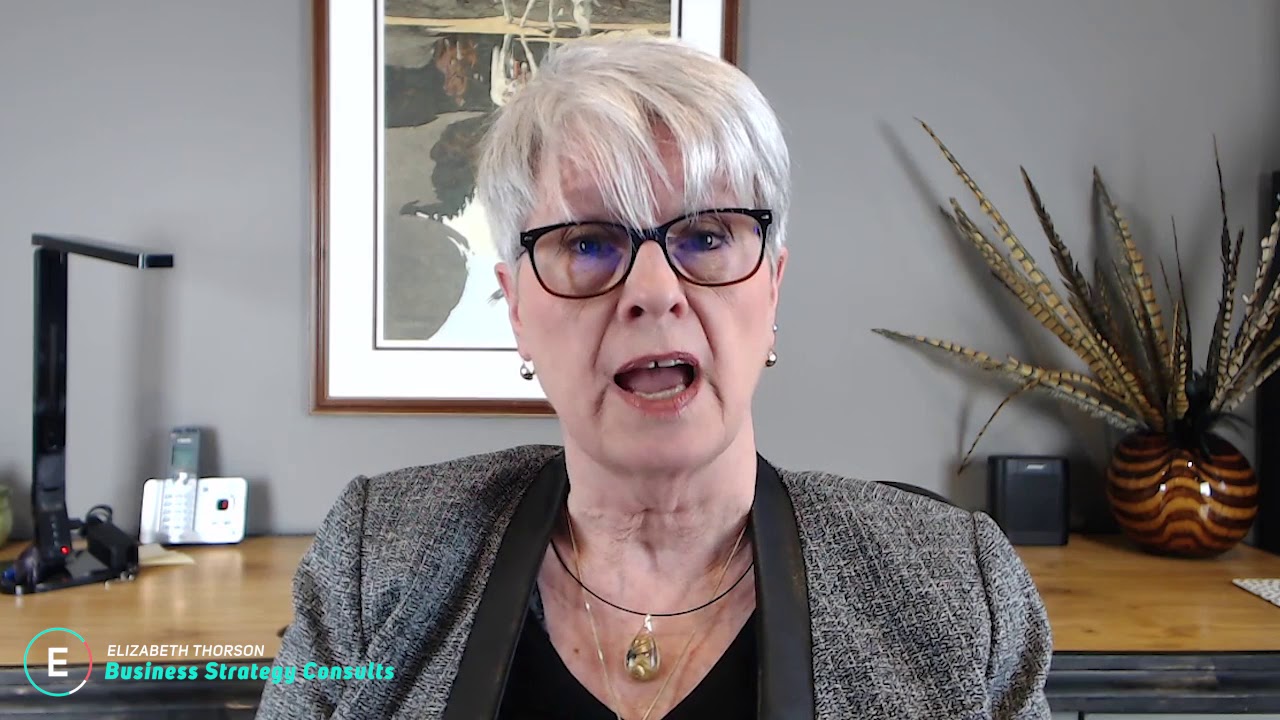 Stories From My Business Strategy Consultations // Elizabeth Thorson - Intuitive Consultant