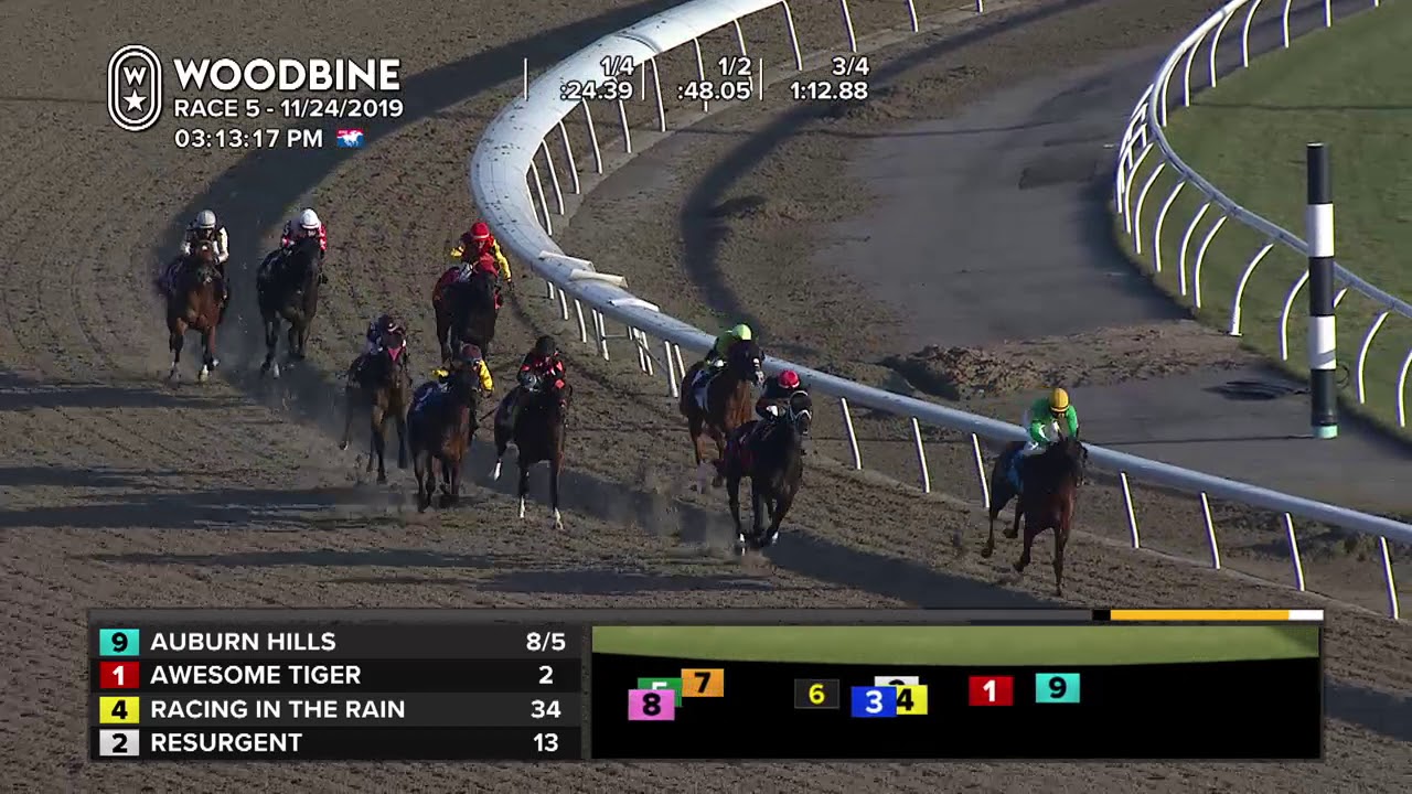 Woodbine November 24, 2019 Race 5 YouTube