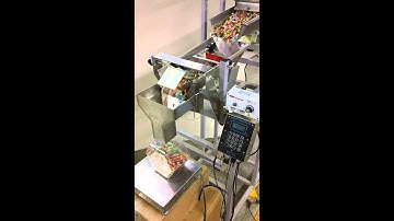 Logical Machines S-6 Weigh-Fill System Running 300 Count Jolly Ranchers