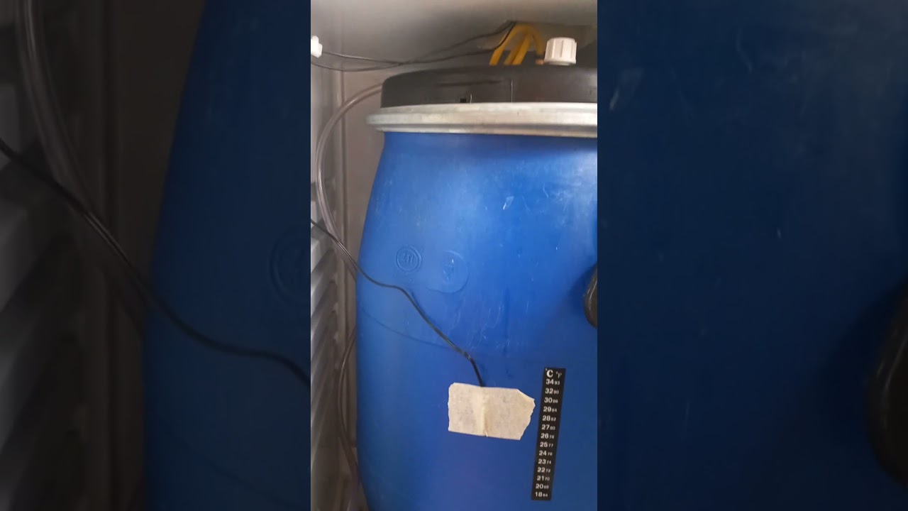 Наш простой аппарат для сбраживания пива с терморегулятором.