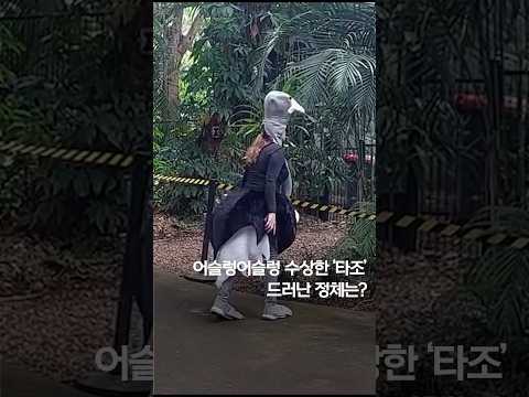 &amp;#39;타조 사람&amp;#39; 동물원에…발길질·날갯짓 디테일까지 #shorts