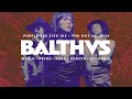 Balthvs  purple bee live 105