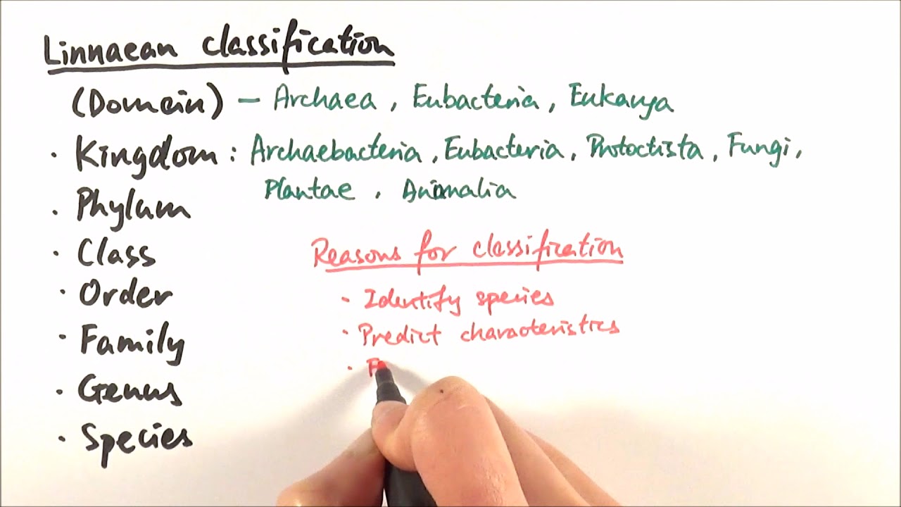 AS Biology - Classification and binomial nomenclature (OCR A Chapter 177.17-17)