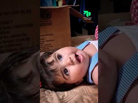 حببتنا بالدنيا كتير جنة فلسطين غزة اكسبلور