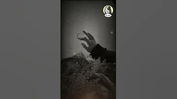 يا قلبي سيبك من الحب سيبك شادية اغاني الزمن الجميل اكسبلور الزمن الجميل طربيات طرب اغاني 